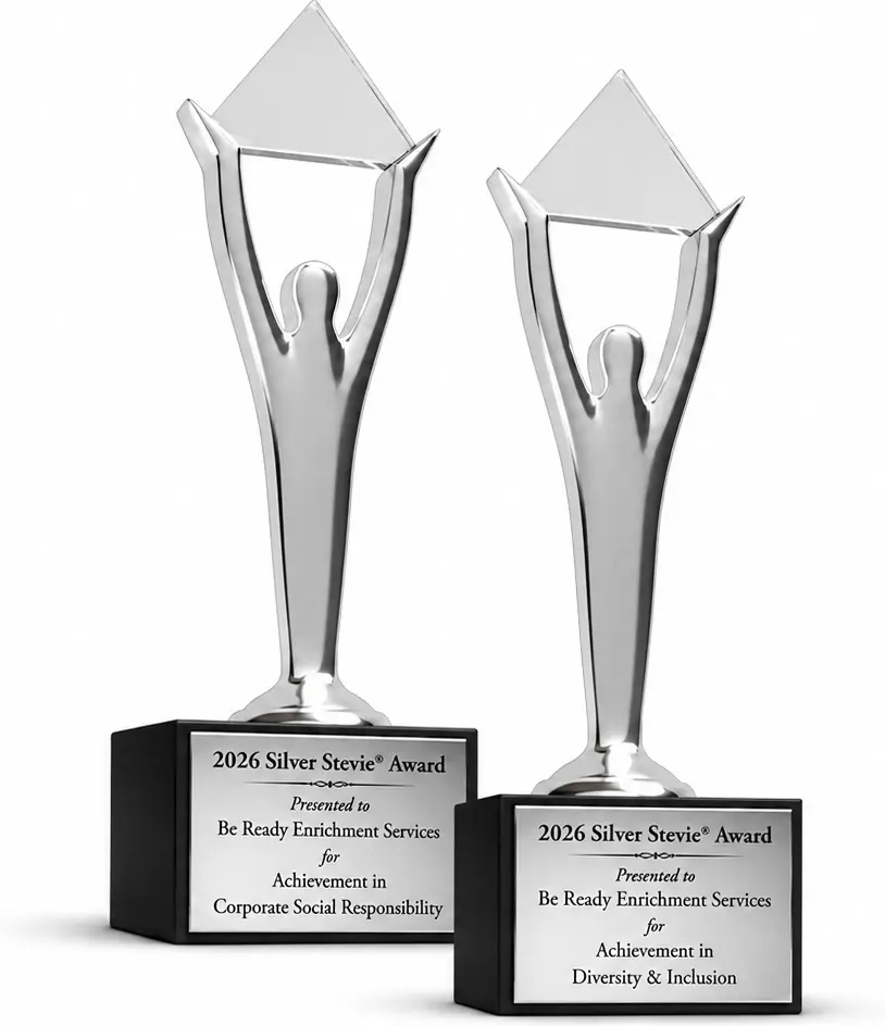 Two Silver Stevie Awards