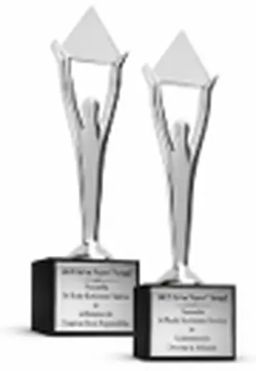 Two Silver Stevie Awards